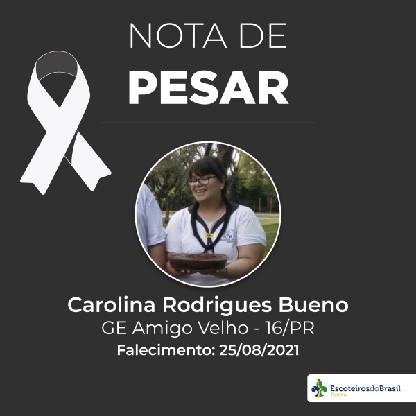 Nota de Pesar - Carolina Rodrigues Bueno GEMAV 016/PR